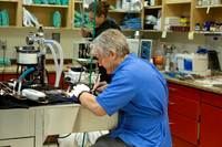 Kenai Veterinary Clinic